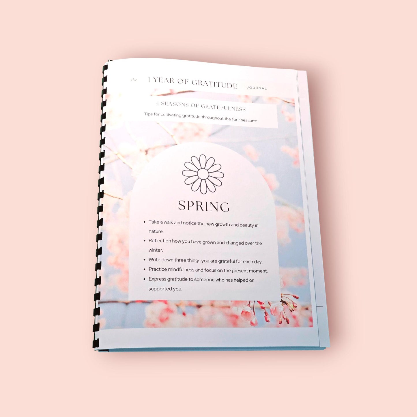 1 year Gratitude Journal