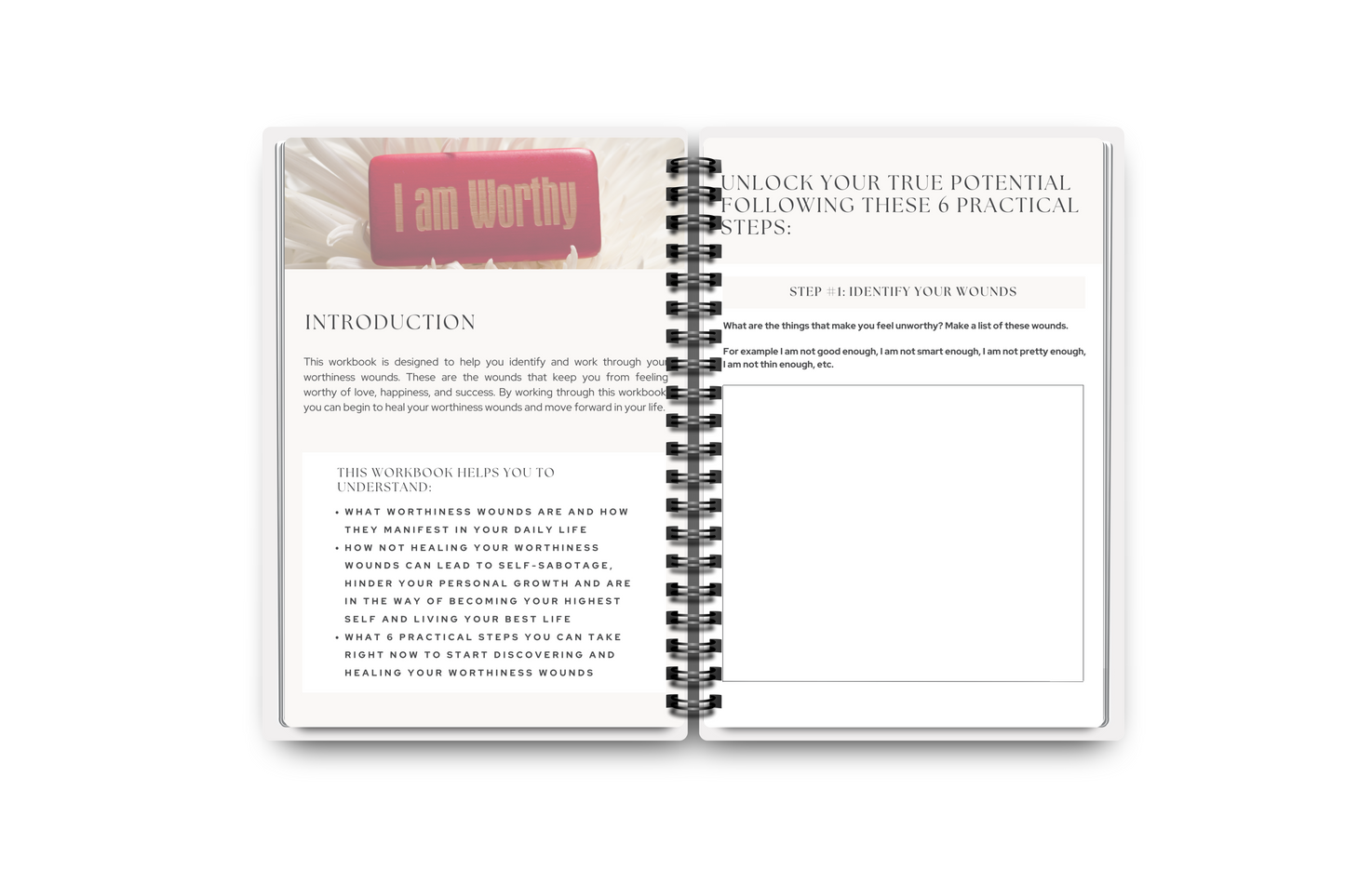 Worthiness Wounds Workbook