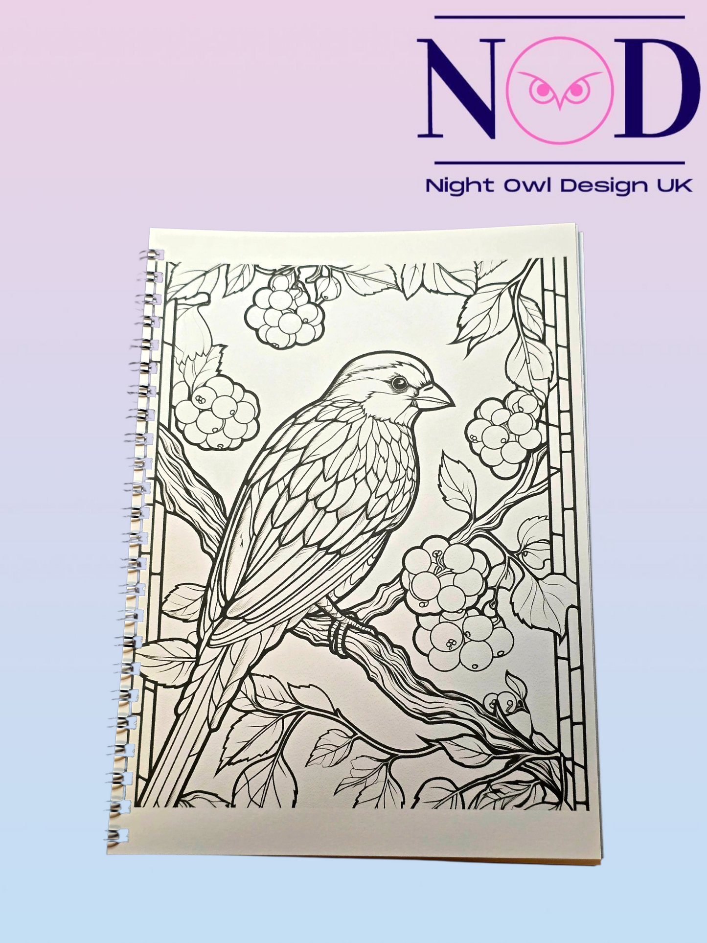 Volume 2 Birds and Stained Glass Colouring Book