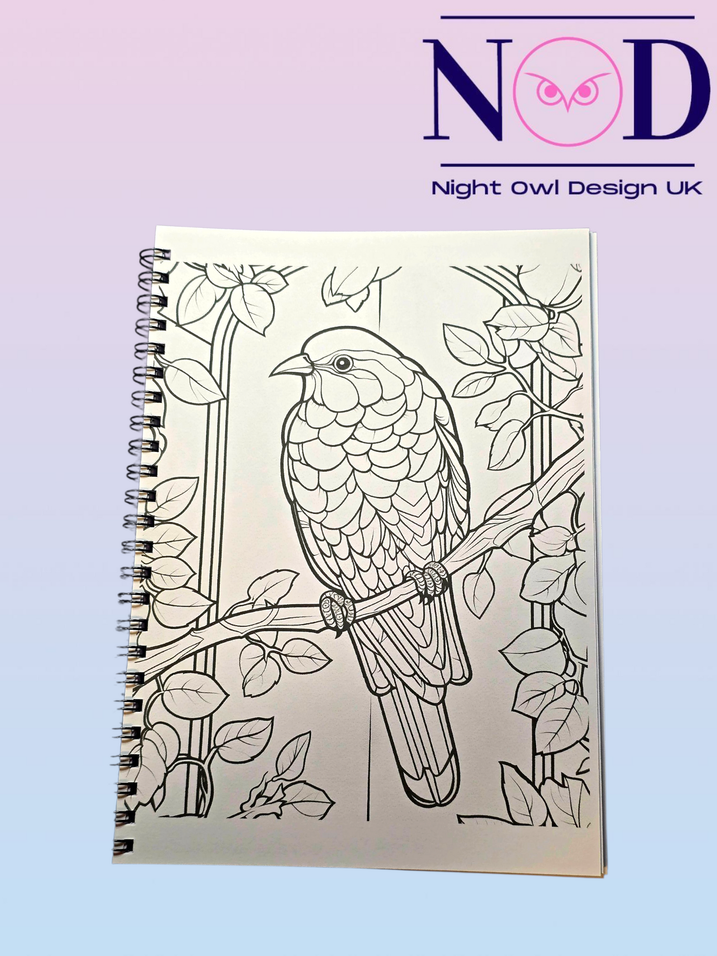 Volume 1 Birds and Stained Glass Colouring Book