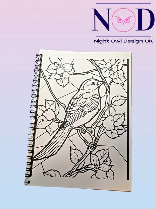 Volume 2 Birds and Stained Glass Colouring Book