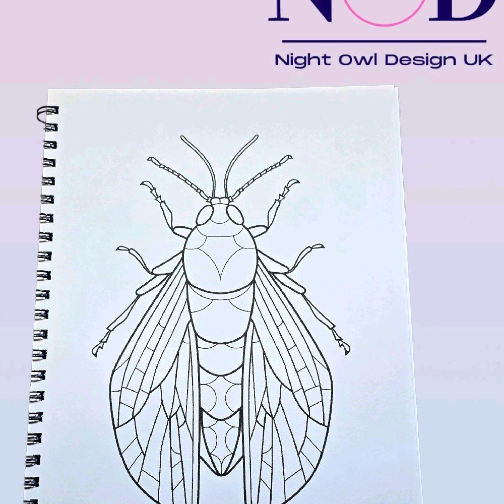 Insects Colouring Book