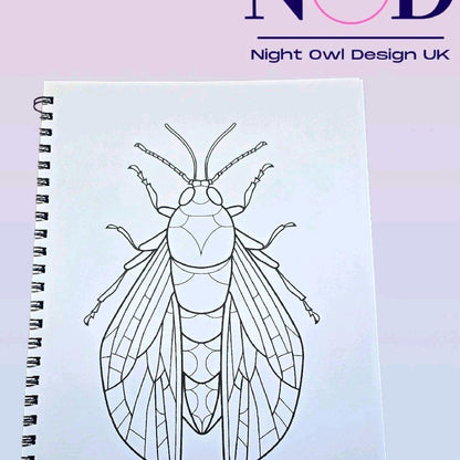 Insects Colouring Book