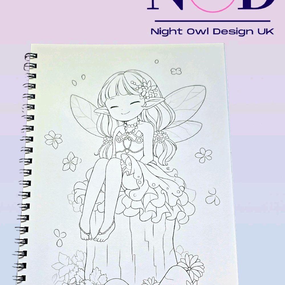 Fairy Colouring Book