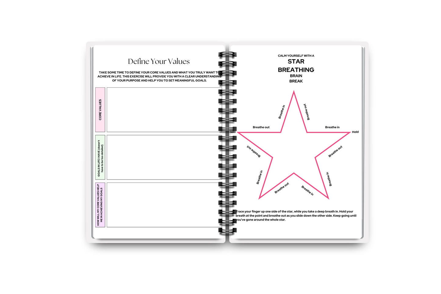 Adult Autism Planner