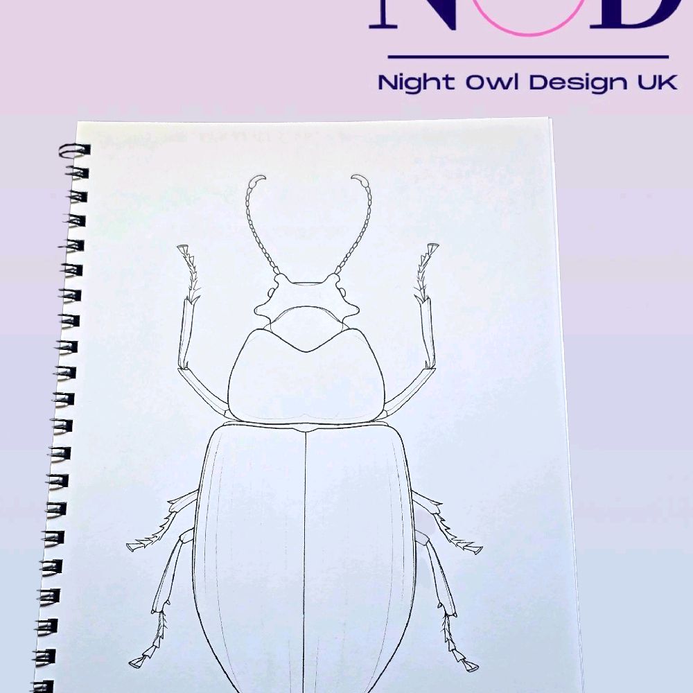 Insects Colouring Book