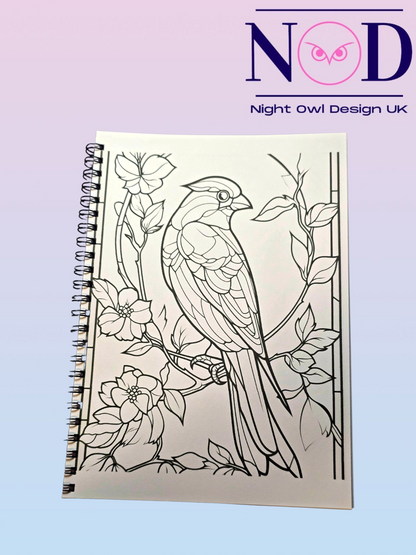 Volume 2 Birds and Stained Glass Colouring Book