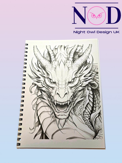 Fantasy Dragons Colouring Book