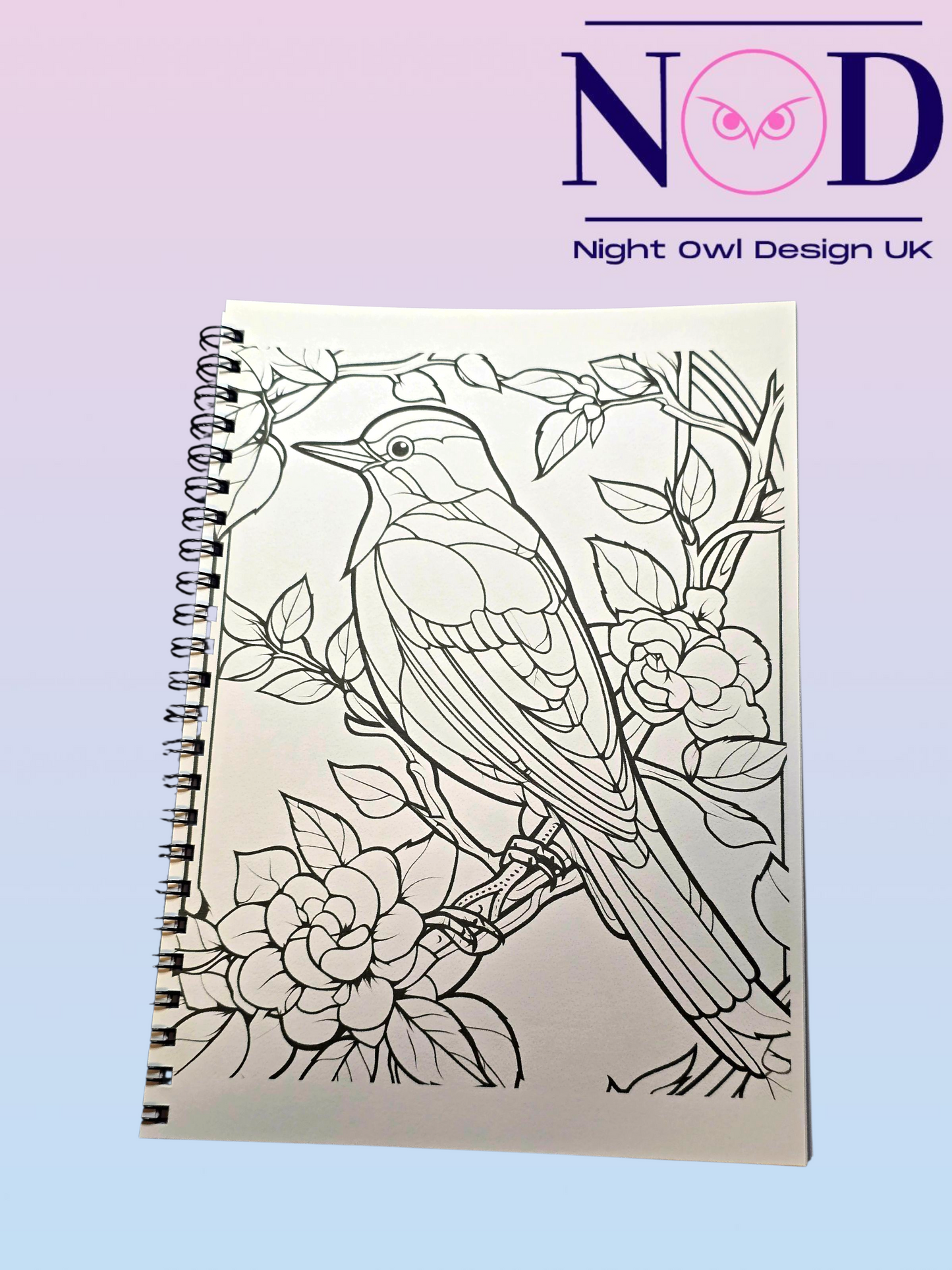 Volume 2 Birds and Stained Glass Colouring Book