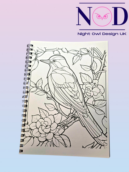 Volume 2 Birds and Stained Glass Colouring Book