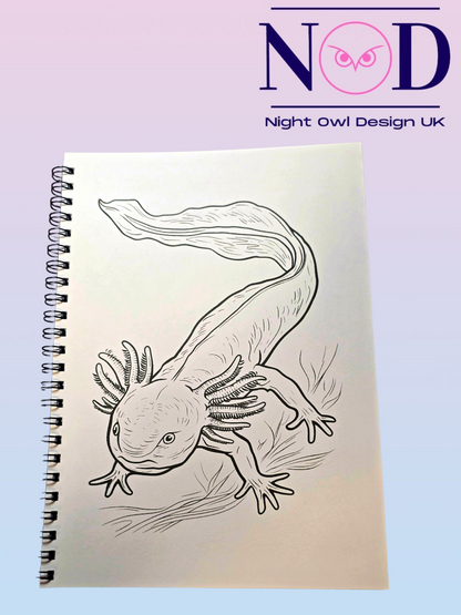 Axolotl Colouring Book