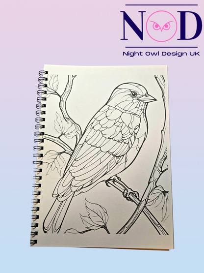 Volume 1 Birds and Stained Glass Colouring Book